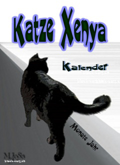 schwarze Katze_lieblicher Monatskalender_katzenpoesie