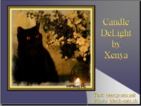 Candle DeLight by Xenya