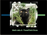 Katzengruss mit Black-Cats-Karten