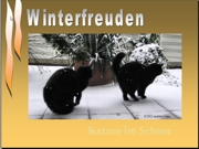 Winter (Musik:Winterlied)